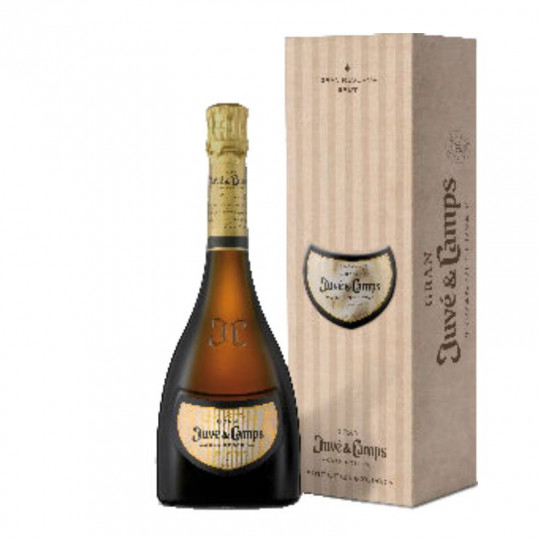 Box 1 bottle Gran Juvé &...