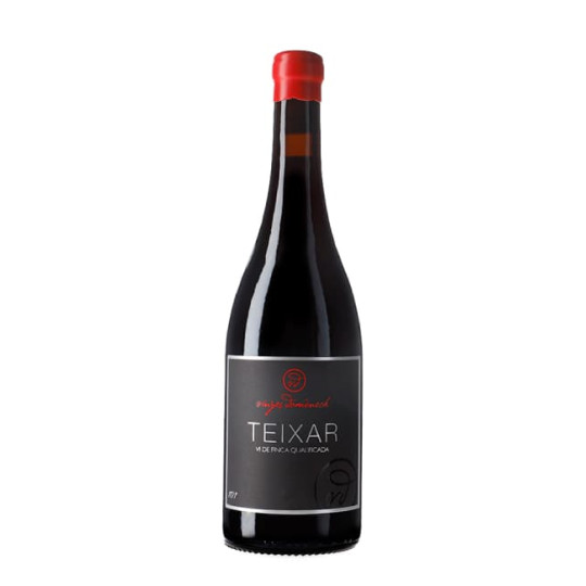 Vinyes Domènech Teixar...