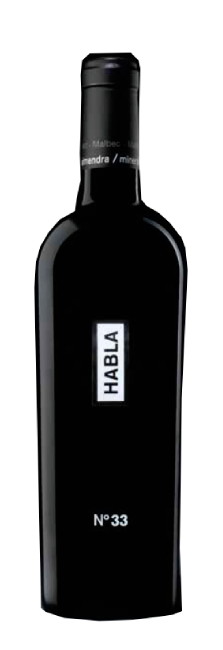 Habla Nº33