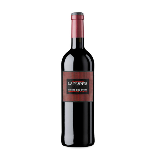 La Planta Magnum 2024