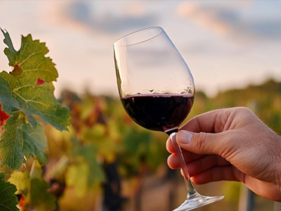 Sulfite-free wines: a trend here to stay